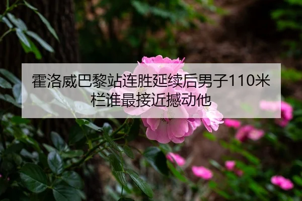 霍洛威巴黎站连胜延续后男子110米栏谁最接近撼动他