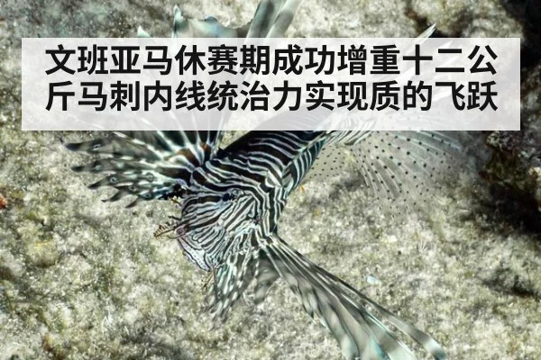 文班亚马休赛期成功增重十二公斤马刺内线统治力实现质的飞跃